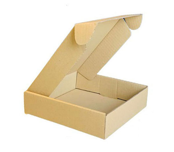Hộp carton nắp gài